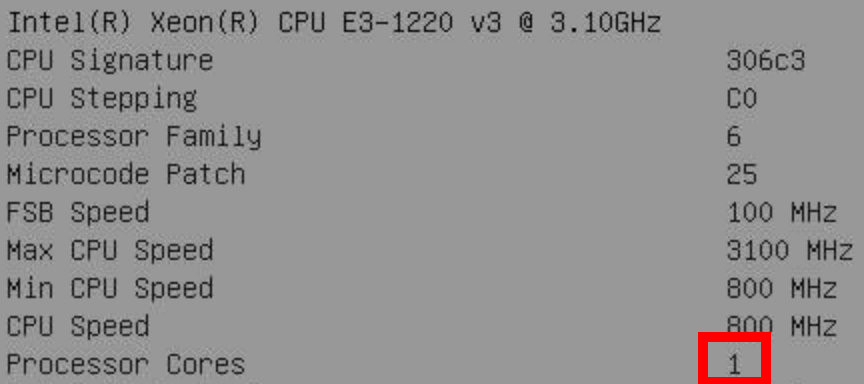 Screenshot of the BIOS, showing that the CPU has one
core.